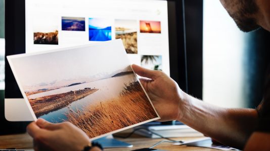 portfolio